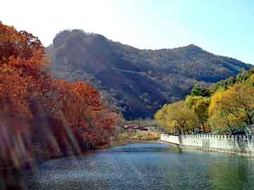長(zhǎng)安鈴木驍途最新動(dòng)態(tài)與黃金價(jià)格走勢(shì)分析，八月市場(chǎng)觀(guān)察