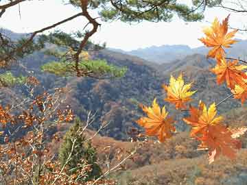 水頭人才網(wǎng)與臺(tái)風(fēng)燦都聯(lián)動(dòng)，智能招聘與天氣預(yù)報(bào)攜手，科技體驗(yàn)之旅開(kāi)啟