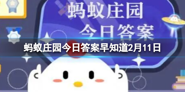 螞蟻莊園答案最新揭秘，探索莊園奧秘，樂享知識之旅